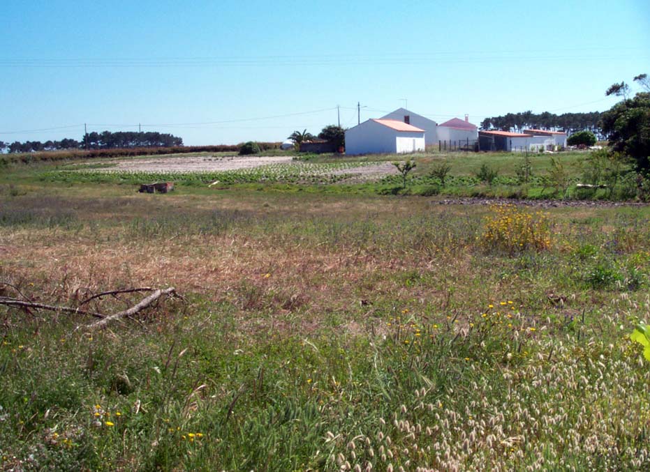 East field and a house