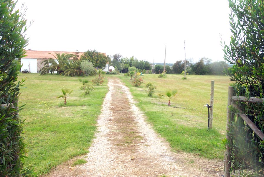 Odeceixe farm