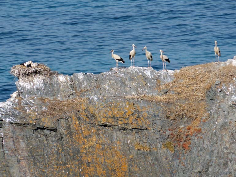 Odeceixe seashore cliff