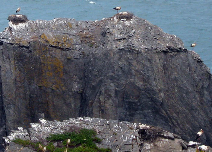 stork nest rock- odeceixe- portugal